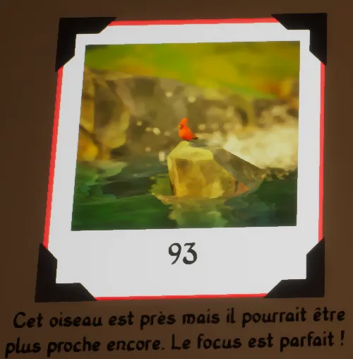 Photo commentary feedback