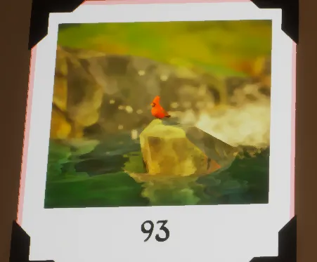 Photo scoring algorithm